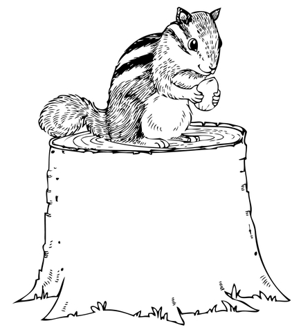 Chipmunk Eating Nut On Tree Stump Coloring Page